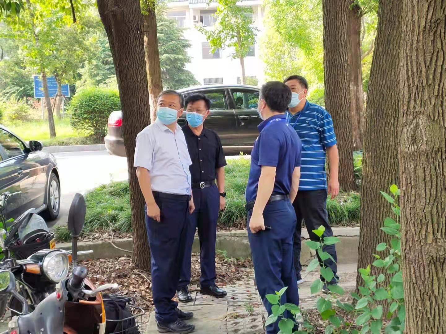 1631789348345099.jpg 1628564237275559.jpg